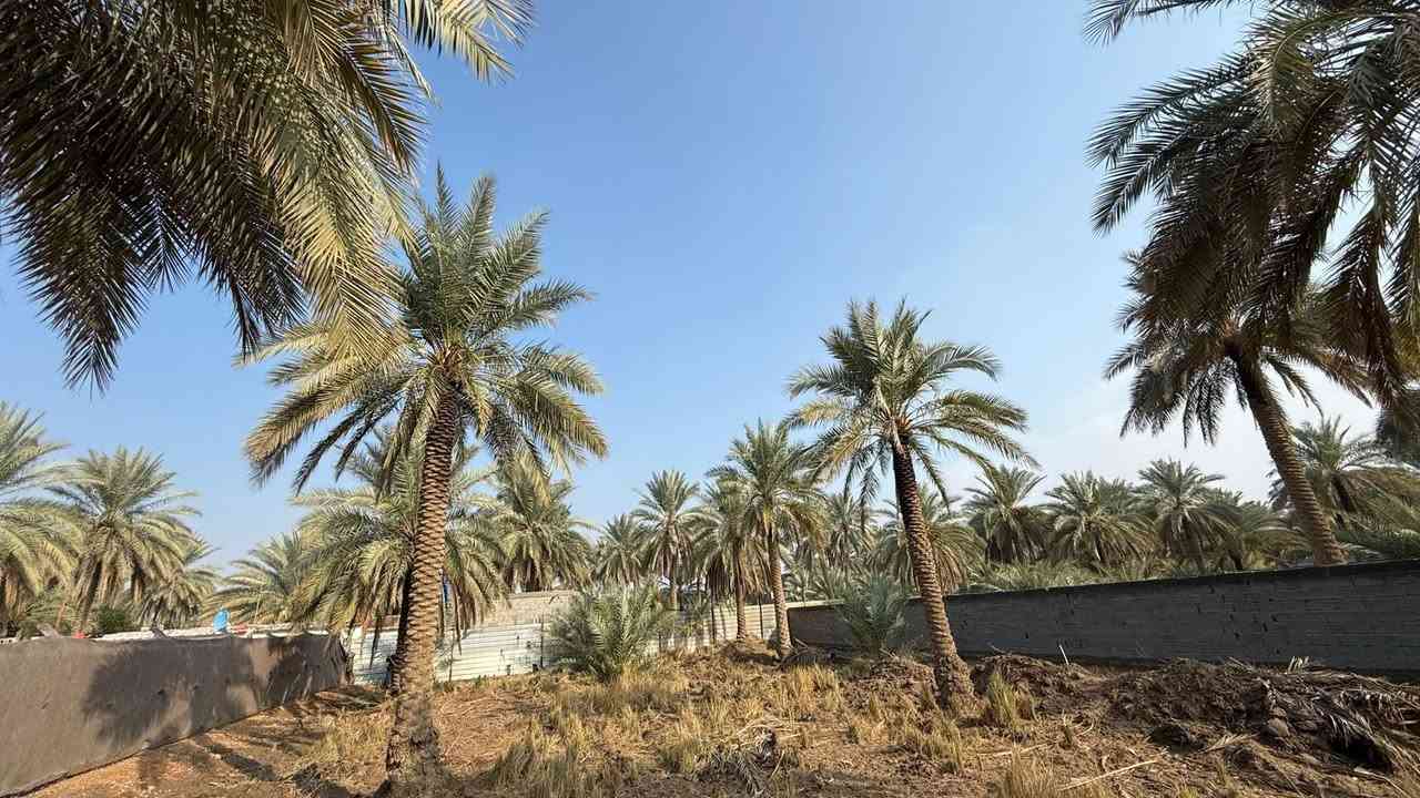 قطعة ارض مساحة ٦٢٥ربع دونم طابو سند ٢٥
طريق بغداد عامود ٣٠٠ تبعد عن الشارع العام ٢٠٠ م

ارض مخدومة وكافة الخدمات ماء كهرباء مجاري وقريباً تبليط 

للاستفسار 

***********
