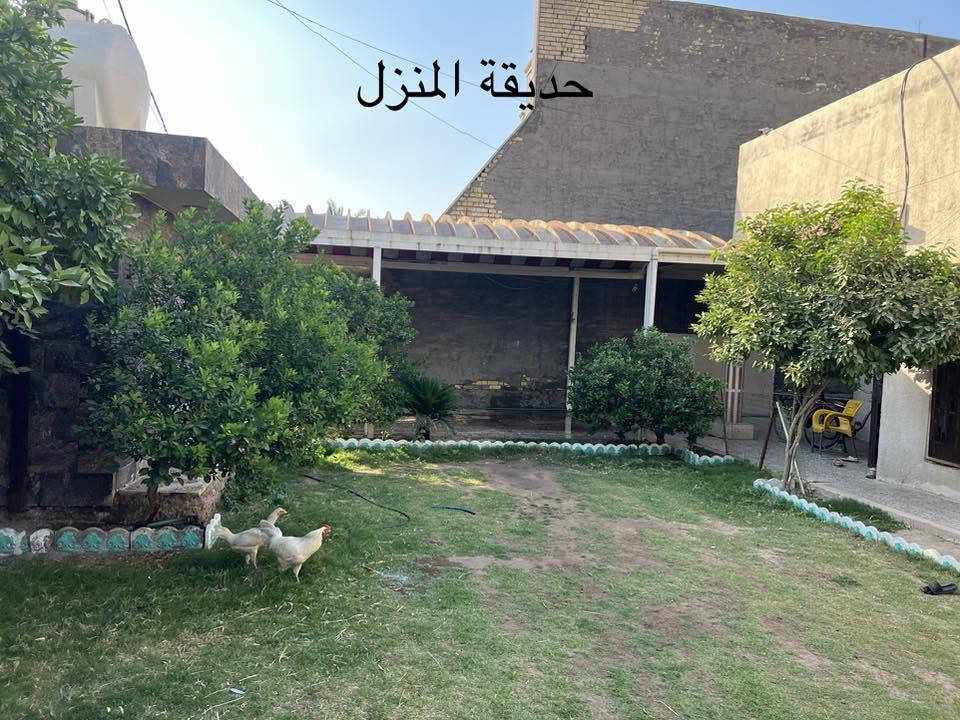 السلام عليكم بيت للبيع الكبيسي قرب سوگ الهوى موقع جدا ممتاز قرب إعداد المدربين . يبعد عن الشارع العام اقل من ١٠٠ متر 
الاستفسار الاتصال (***********)
