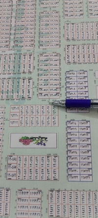 طابو • ١٠٠م • حي المعلمين