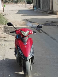 كامكو جفور • نجف • سعر خاص