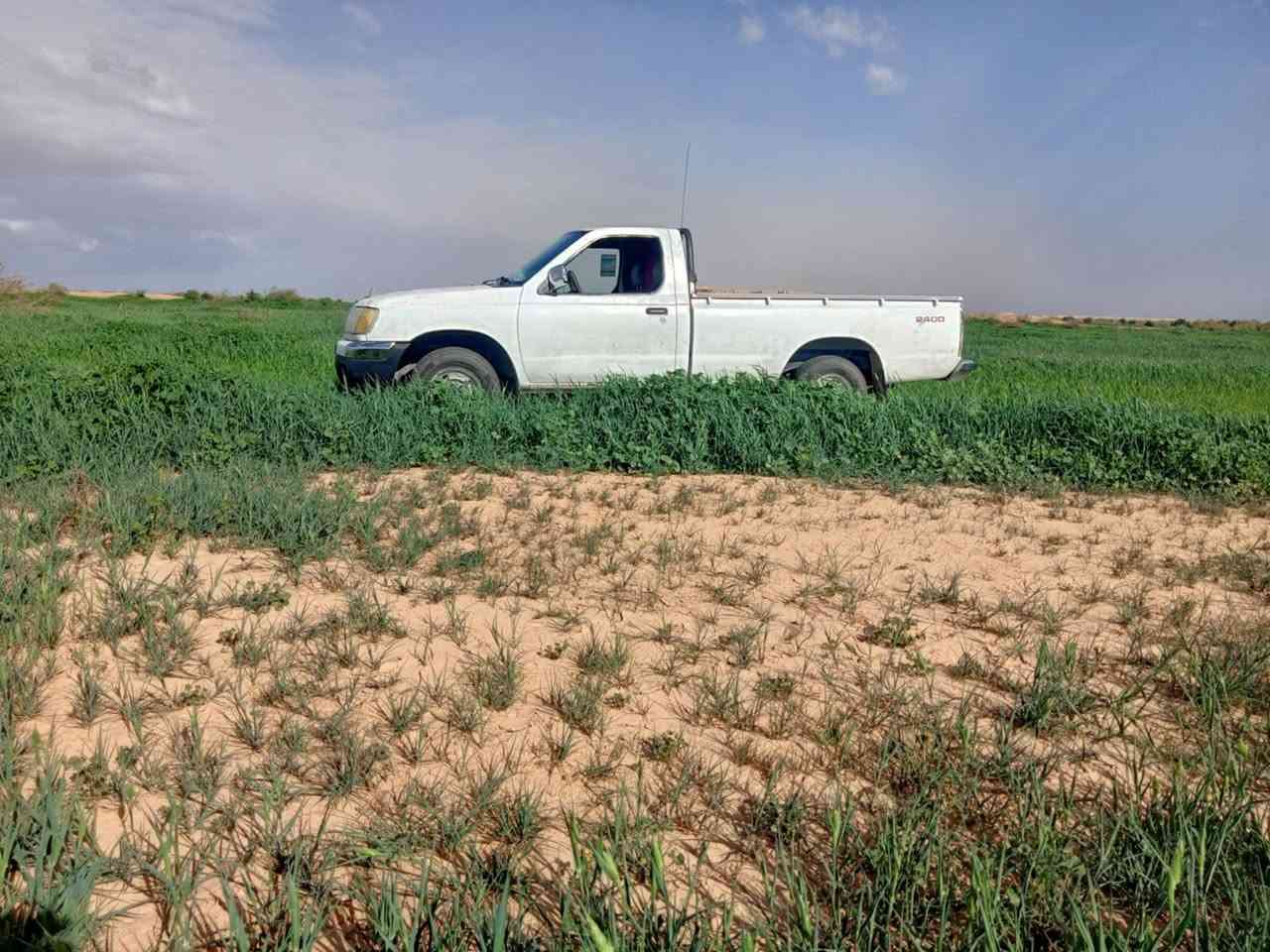 نيسان تك مكفول سعر ٦٥ ***********
