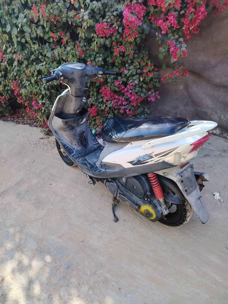 للبيع ماكس عدله الدراجه كفاله عامه من كلشي  الدراجه بوشه ٤٩ بلاد صار اقل الشهر  من نازله من الرمبه وصله موجود وبيه منفيس الدراجه كله مختمه  شلعه ومعدل تشك الكاع كامله مكمله مابيه نقص برغي كله شغاله من الويل للويل + (بيه سستم مال سماعات كامل) + ( تايرات جيلاتين) ، مكاني بابل قرب جسر بته ، ( الاستفسار خاص ) و هذا رقمي ***********
