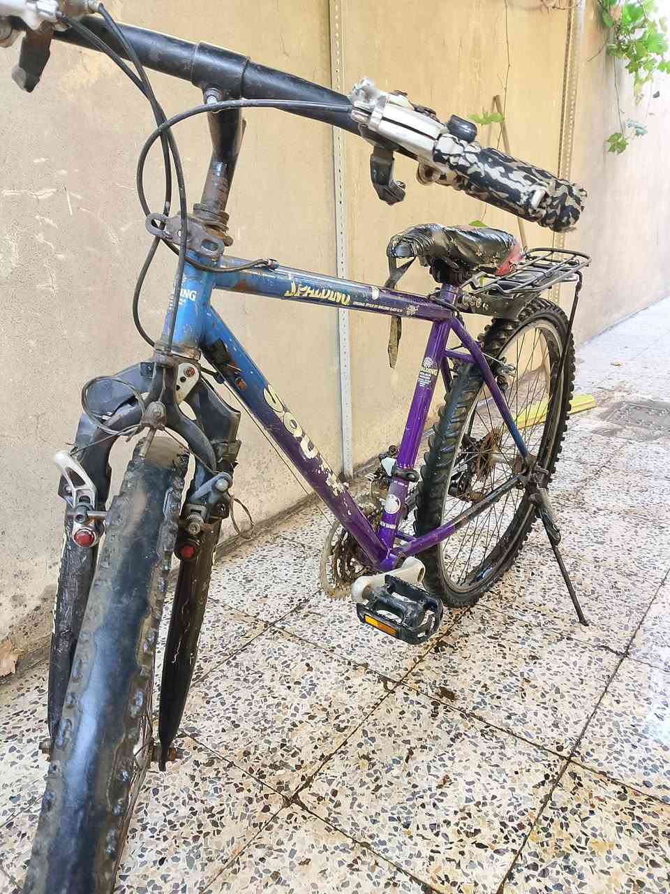 للبيع لشة بايسكل العنوان حي المعلمين التواصل خاص


**إذا كنت صاحب هذا الإعلان وتريد حذفه لأي سبب، رجاءا أرسل رسالة إلى الدعم الفني**