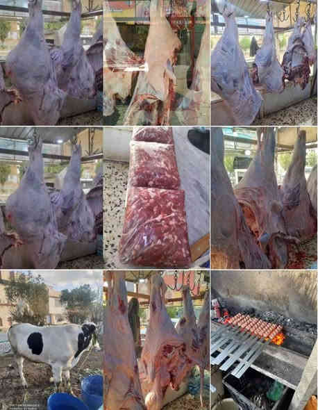 تعلن قصابة ابو تراب عن توصيل الطلبات مجاني لكافة مناطق الكوت
على بركة الله تعالى
بسم الله الرحمن الرحيم
قصابة ابو تراب الان
بعون الله تعالى وتبارك تم تجهيز قصابة ابو تراب بلحم عجل عراقي ولحم غنم عراقي ومن الله التوفيق
تموز مقابل جامع ابو تراب
قصابة ابو تراب
***********
***********
***********
توجد خدمة تةصيل
اهلآ وسهلآ بالزائرين الكرام
ولكم جزيل الشكر والتقدير
