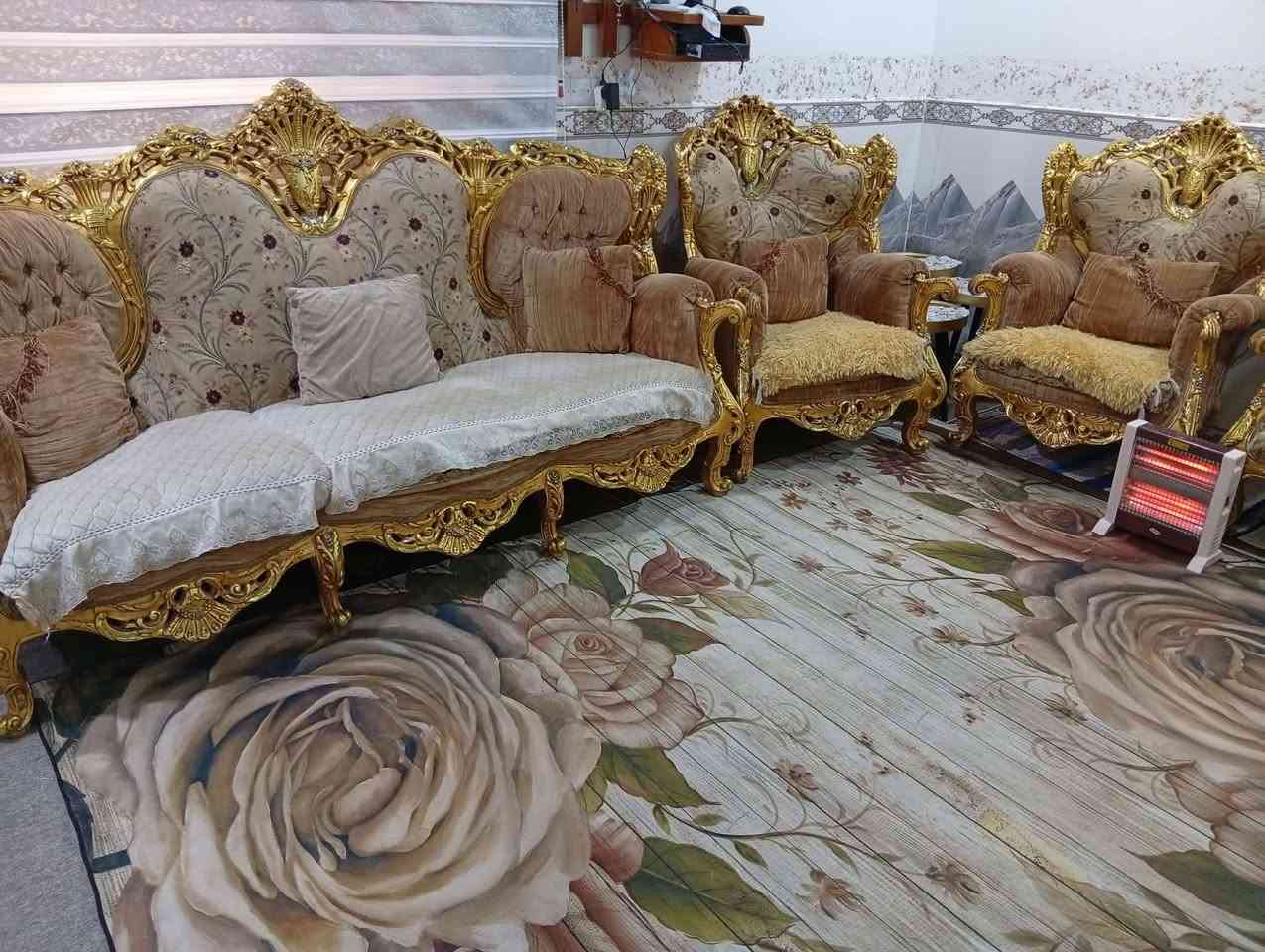 بيع مستعجل  تخم قنفات زان مصري السعر ٦٥٠ لي استفسار  ***********
