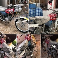 تايكر موديل 23 محرك كبس ما مفتوح شلعه ومعدل فول كهربائيات كلها شغاله م...