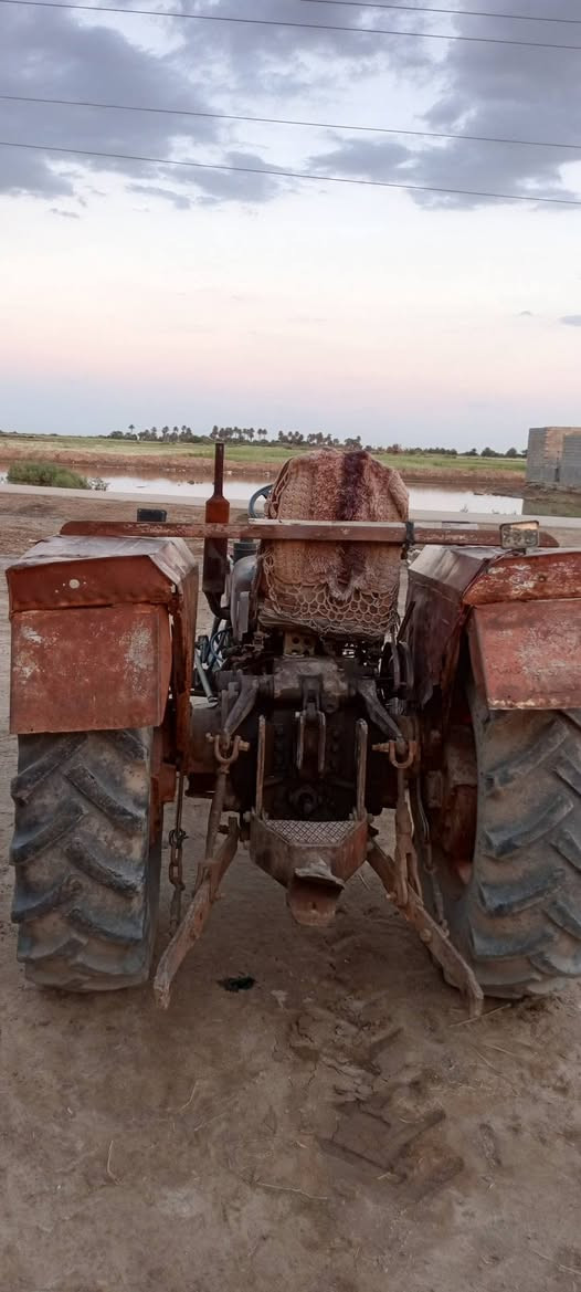 عنتر للبيع
وياهه عربانه سكندريه 
فدان سلوم
البكان الناصريه قضاء فجر 
اليحب يتواصل هاذه رقمي 
***********
