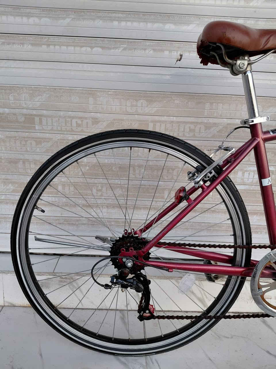 بالة ياباني
حجم 26 دزاين C700
الفريم حديد الملحقات المنيوم
اطارات خط فسفور
SHIMANO 6 SPEED
السعر 120  الف
   ✈يوجد توصيل لجميع المحافضات ✈
كركوك مدخل سايدين حي الاسرى والمفقودين 
معرض ابو شيفان ( *********** )
