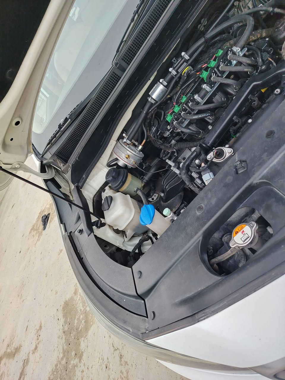 السلام عليكم كياء كرنفال خليجي فول مواصفات مديل 2020 بسمي ماشيه 129 ***********
