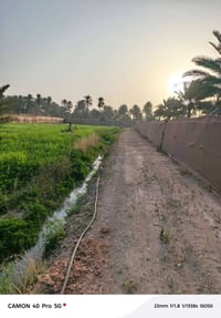 دونم • طابو اعتراف • ٤٠ نخل