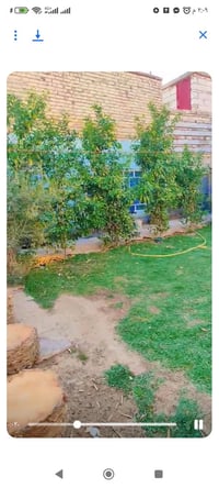 شارع دلال/شارع ميري • ٢٥٣م • طابو زراعي