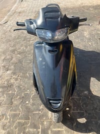 فراشه فحل • نضيفه • معتني