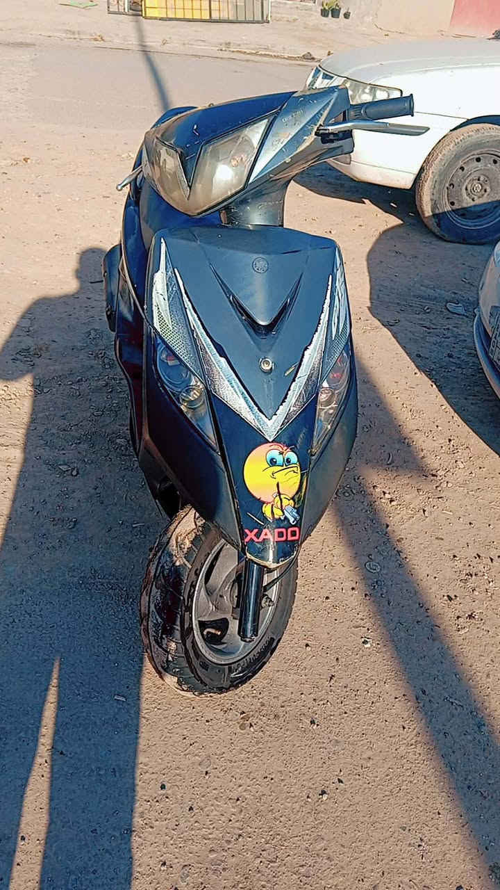 السلام عليكم ثعلب للبيع مكان الحريه لاستفسار عل الرقم مكلف بلنشر
***********
