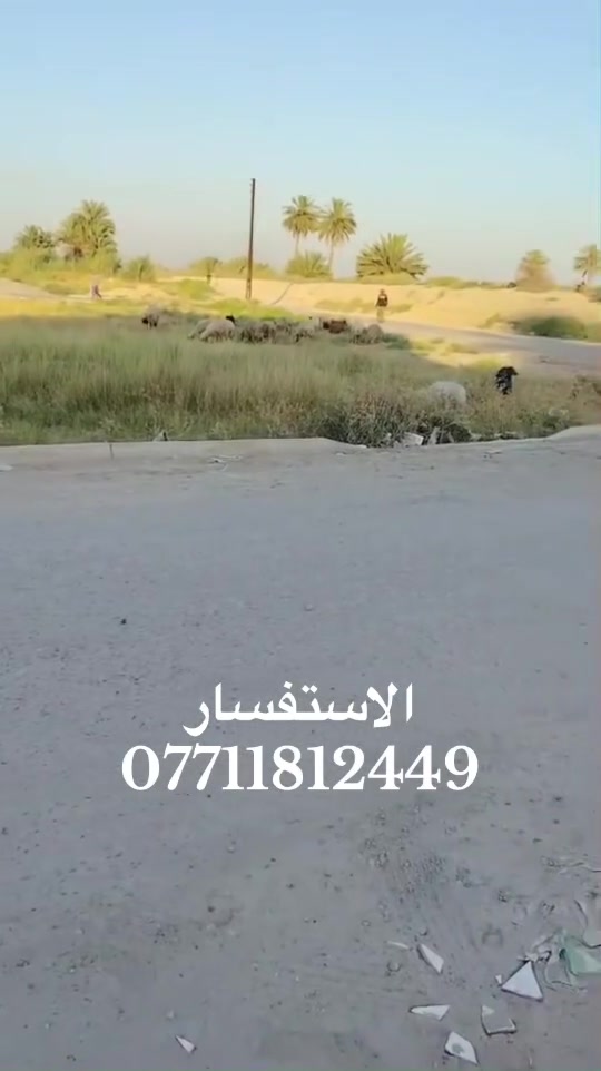 السلام عليكم قطعه ارض مساحه 228 متر موقع بغداد الراشديه سبعه نيسان خدمات كامله ماء كهرباء تبليط ع شارعين  الاستفسار ***********
