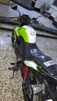 موديل ١٨ • مكفولة • الرمادي الورار