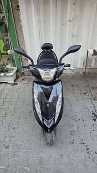 ثعلب جيتي • مكفولة • الكاظمية