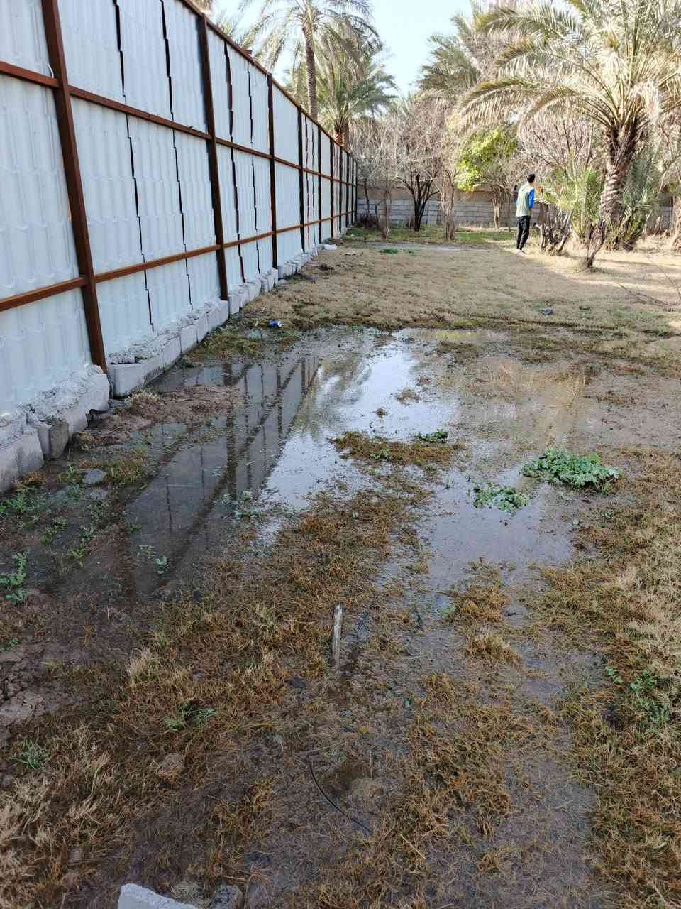 سلام عليكم للبيع 1250 نص دونم سند 25 تحويل مباشر بسم المشتري بغداد الراشدية قرية العراكنة تبعد عن ناحية ربع ساعة وعن شارع العام طريق بغداد كركوك كيلو موقع جدا حلوو شارع تبليط مخدوم ماء سقي ماء اساله كهرباء يصلح سكن جدا قريب سعر جدا مناسب 85 وبي مجال  بسم شخص واحد ***********
