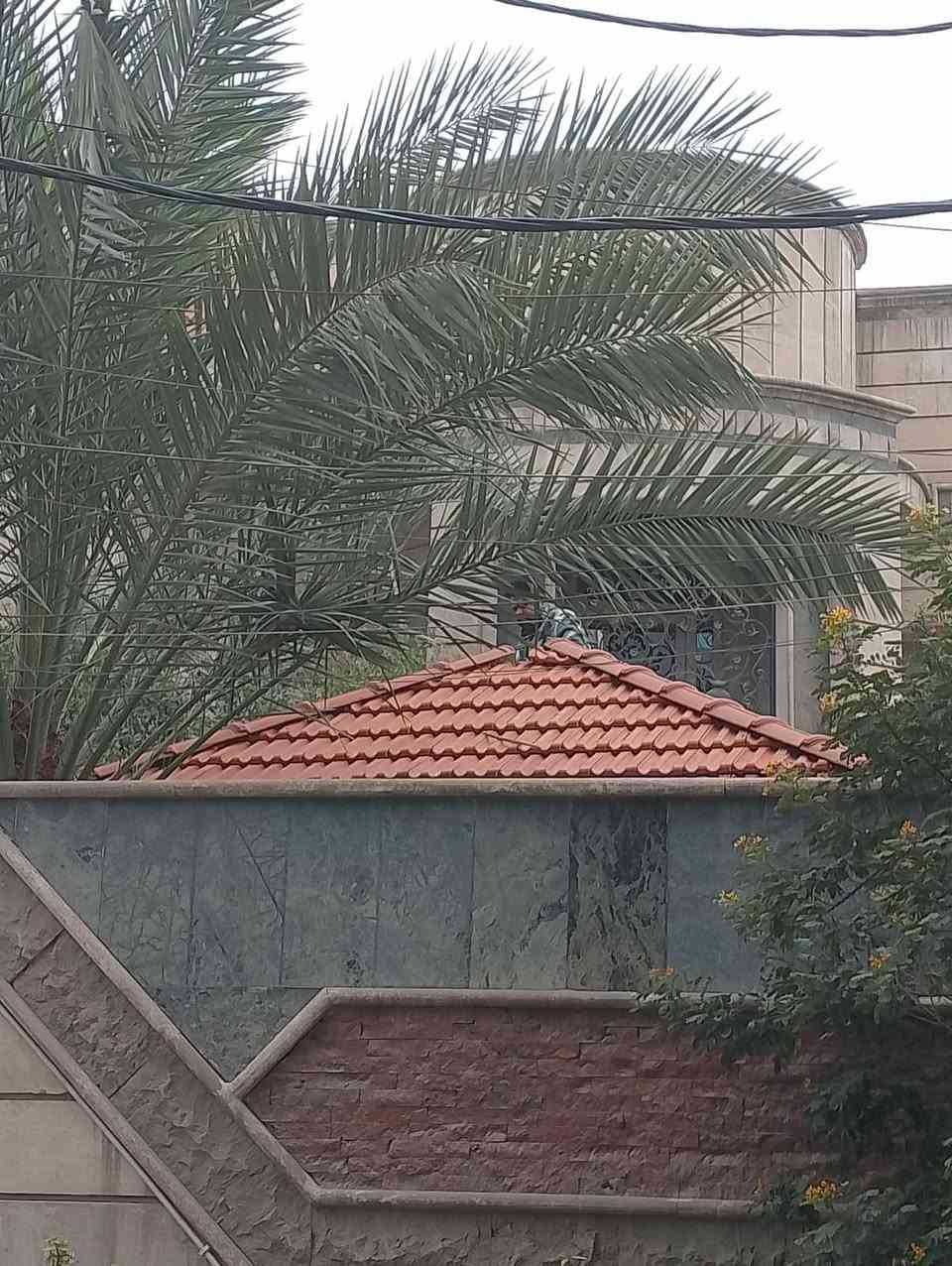 السلام عليكم زبائننا الكرام)
-(العمل القرميد اسباني )🏙️🌃

-(مستعدون العمل كافة الوجهيات والمضلات وجلسات🏠 العربية)  🏛️🏛️   (م̷ـــِْن اجواد انوع القرميد )🏫

(لايطالي -لاسباني- النيبالي -السعودي -قرميد المزجج) 🏫

(عمل القرميد كافة انواع)

(حمي بيتك 🏠م̷ـــِْن امطار 🌧️واتربه 🌬️م̷ـــِْن اشعة🌅 الشمس🌅🏜️)

(للاستفسار مراسله الصفحة او الاتصال على الارقام التالية)

(يوجد الدينا كادر كافة محافظات العراق 🇮🇶🇮🇶)

(لسنا الوحيدون الكننا لافضل)

***********☎

لسنا الوحيدون لكننا الافضل
