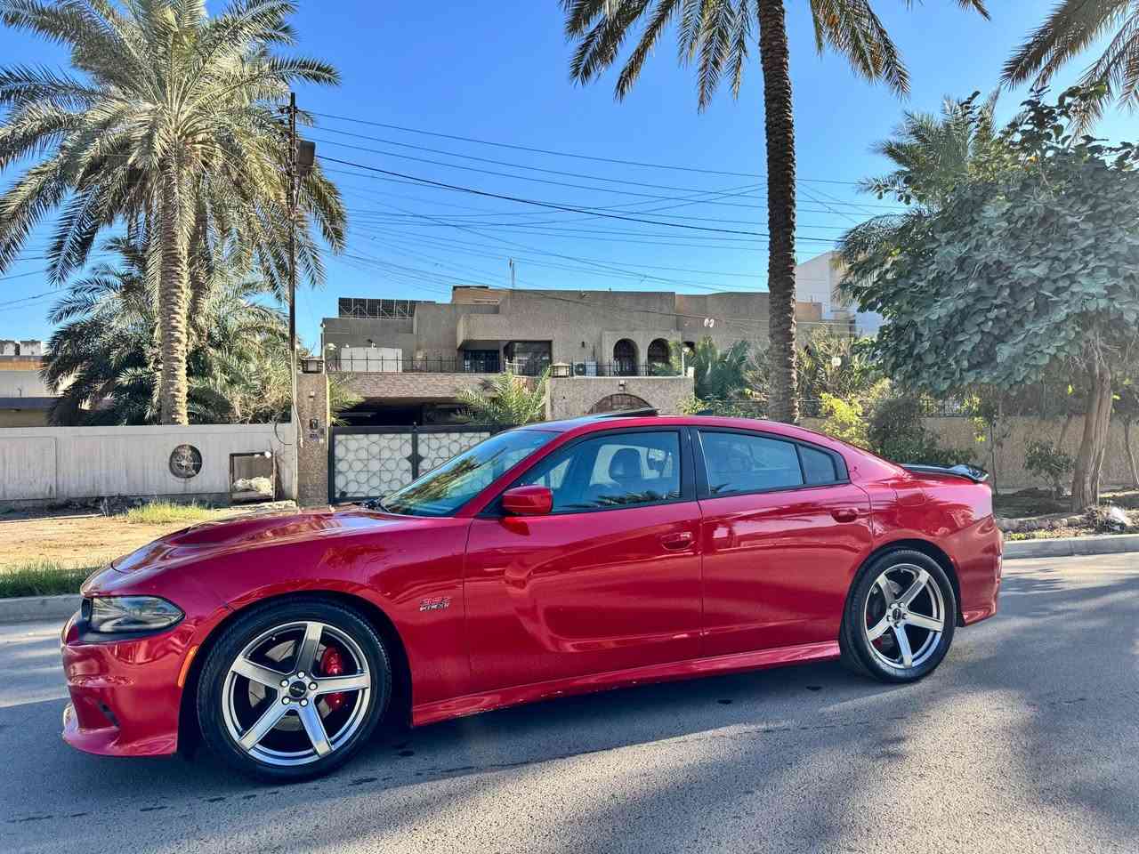 السلام عليكم للبيع او مراوس 
دوج جارجر 2016 وارد امريكي حادث سرقة بدون ضربة او ايرباك 
رقم بغداد شبه مميز باسمي 
هزة وسنوية وارقام كلة جديد 
مزودة وفول مواصفات 
التزويد الي عليها 
المحرك ستروكر من شركة مينلي 7000cc
كام وسبرنكات وشياش وبطاله ستيج 3 
ثلاجة هولي سنايبر ستيج 4 
براغي المحرك كلها arb 
هدرز امريكان ريسنك ويه الداون بايب
كزوز قفايص 3 ونص انج امريكان ريسنك 
شوته afe 
كيجات بوست وafr 
ميثانول انجكشن 
السياره تريدها بوست او na 
ماشية حاليا 25 الف 
مواصفات السيارة 
فتحة سقف 
مقاعد كهرباء وتدفئة وتبريد 
انارة كلها زنون LED 
وبيها مواصفات هواية السيارة جديدة ومميزة جدا 
مكاني بغداد السيدية 
*********** بغداد, العراق
