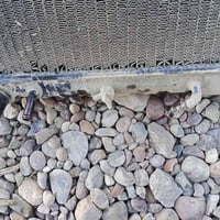 راديتر • شوكية صغيرة • نظيف