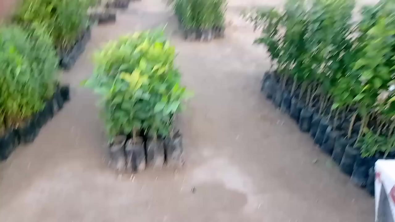 العنوان الجقيفي الثانيه قرب العبوه


**إذا كنت صاحب هذا الإعلان وتريد حذفه لأي سبب، رجاءا أرسل رسالة إلى الدعم الفني**