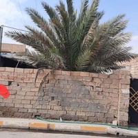 الفلوجة حي الجولان • ٢١٧م٢ • طابو صرف سند