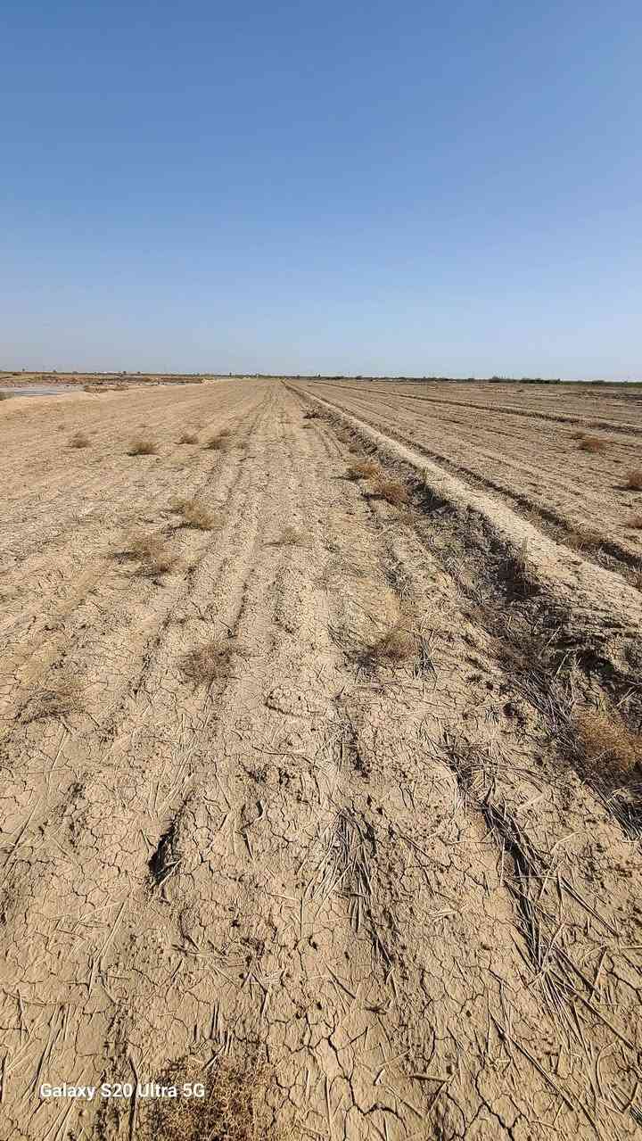 سلام عليكم ارض (كاع) سند طابو زراعي ملك مساحتها 3 دونم مع ماطور ماء سعر 15 قابل للتفاوض اي ستفسار ***********
