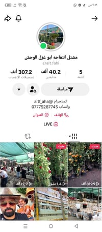 مشتل التفاحة • عرض • لمدة أسبوع