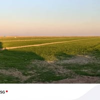 أرض زراعية • 17 دونم • مكاني كوت الأحرار