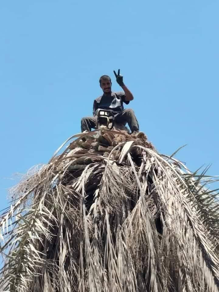 قطع لاشجار ولنخيل في بغداد كرخ ورصافه
كادر محترف في  مجال التقطيع
 واتساب ***********
*********** @إشارة
