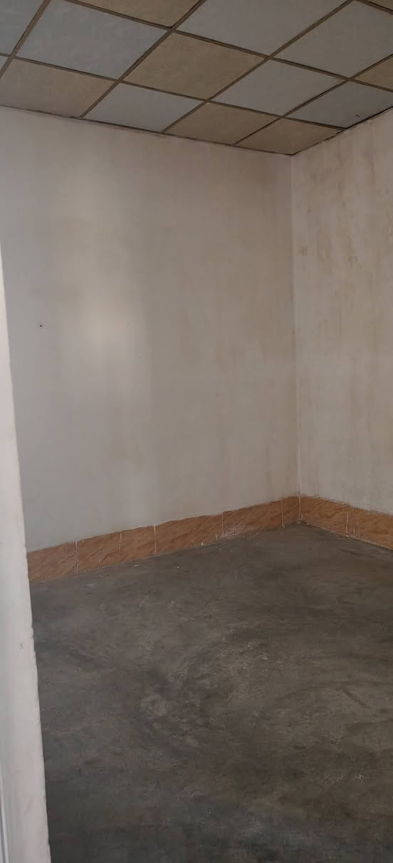 خانوبۆ کرێ
شوێن: کەلار- حەمەی کە ریم - نزیک مزگەوتی قازی محمد 
ڕووبەری : 150 مەترە قاتی سەرەوەیە
نرحی کرێ : 150 هه زار 
***********
