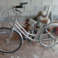 ياباني • حجم ٢٧ • نضيف