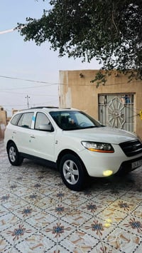 سنتافيا كاز • ٢٠١٠ • رقم كركوك