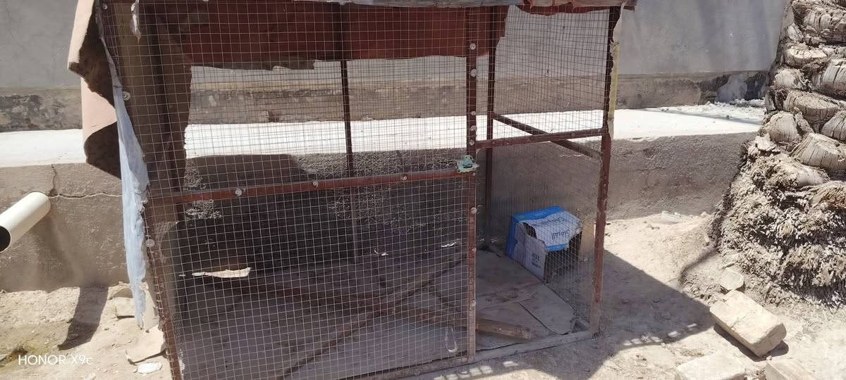 سلام عليكم للبيع اقفاص حديد العدد ٢ المكان بابل شارع 30 /***********
