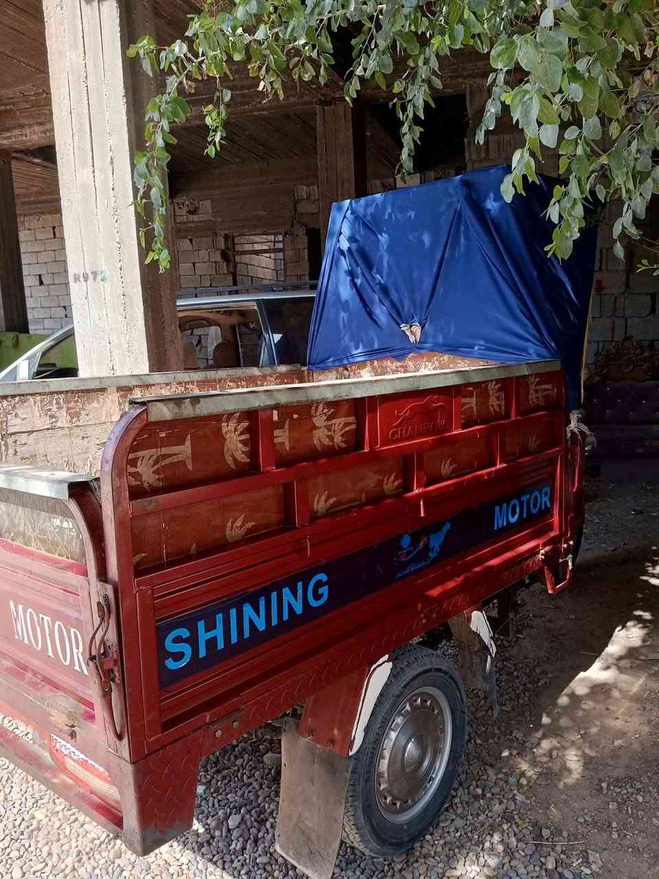 سلام عليكم فحل عالي اوراق كمله موديل 23 للبيع الستفسار ***********الموشراي رجان لا خابرني ستوته كلها شرط مال جناي
