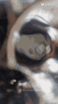 سلام عليكم شباب ستوتة البيع موديل 2020 اوراق اصولي   .تايرات جوبلس
دوشمة جديدة ستوتة مكفولة كفالة عامة مكفولة الشاصي او ركبة ..او بيهة مكينة 2024.ستوتة ترهم مراوس اب جمرة بترة كون موديل 2020او فوكك كون اوراقق اصولي 
السعررر2300او بيهة مجالل الستفسار على الرقم ***********......
