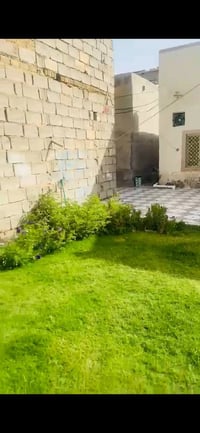 ٢٢٠م • طابو زراعي • سند ٢٥ بيه