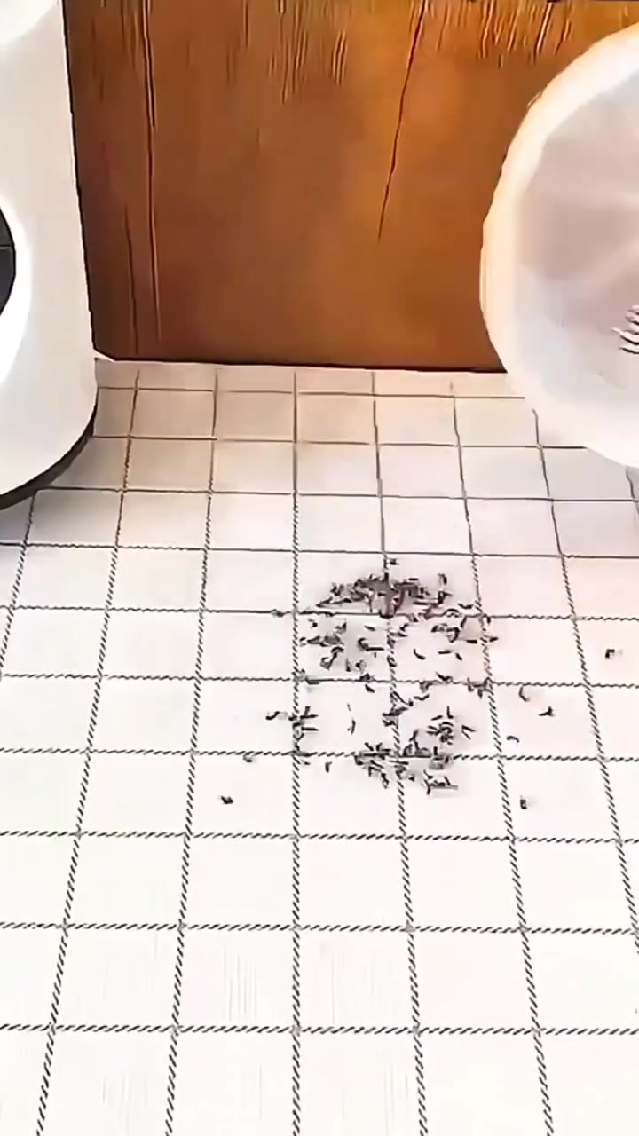 🦟💜 قل وداعًا للحشرات المزعجة!
مصباح USB صغير وأنيق يجذب الحشرات ويقتلها بصمت 🔌✨
تنظيف سهل وآمن دون لمس المخلفات، متوفر باللون الأسود مع إطار بنفسجي 🖤💜


**إذا كنت صاحب هذا الإعلان وتريد حذفه لأي سبب، رجاءا أرسل رسالة إلى الدعم الفني**
