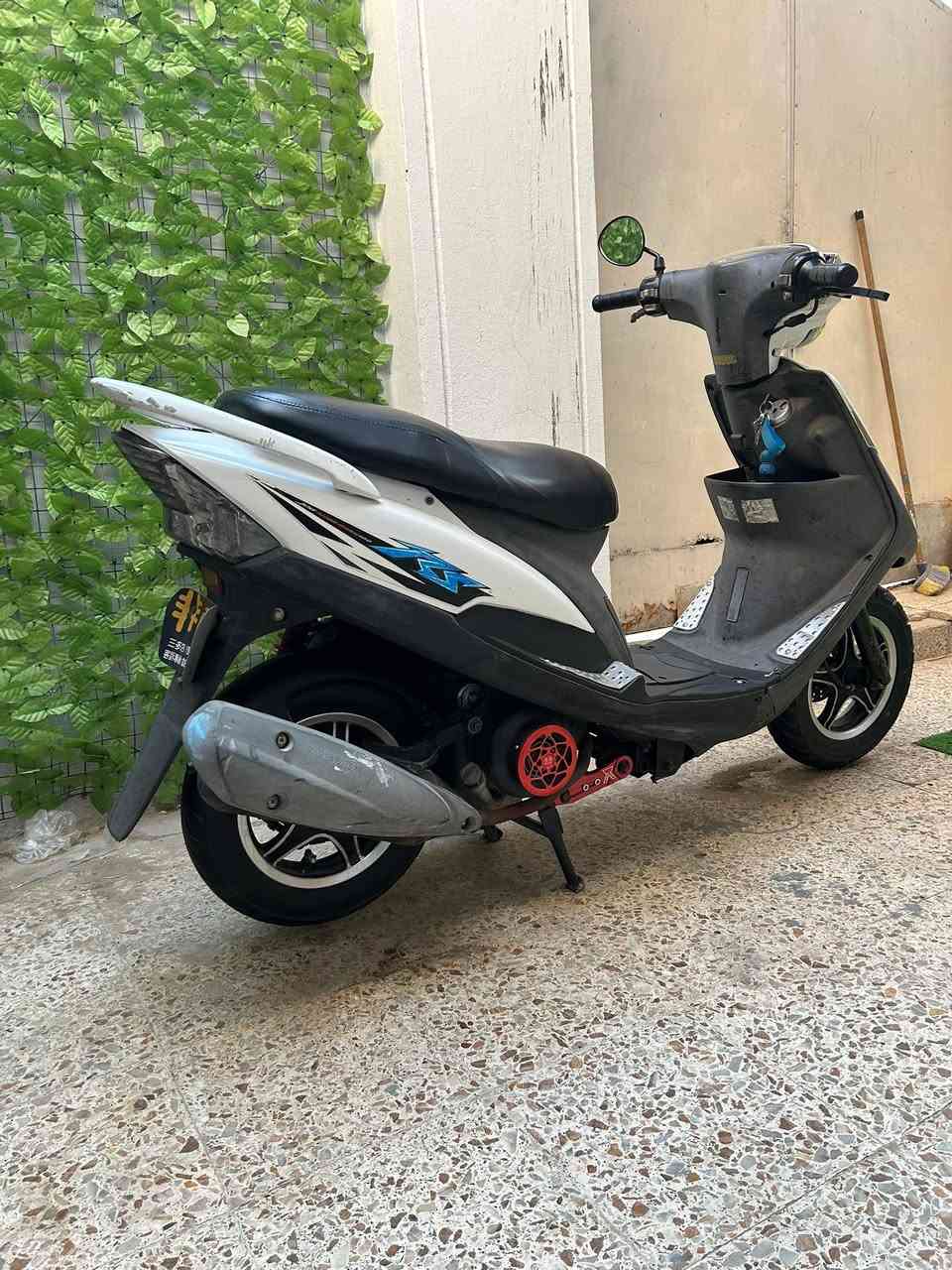 ‏ ‏سلام عليكم 🙋‍♂️ ‏دراجة 🛵ماكس عدله للبيع دراجة خير من الله نكرة سلف هندر كهربائيات كله شغال دراجة كله مختمة كل قطعه بيه مختمه دراجة خير من الله ما صار ههواي من نازله من الحاويه استفسار *********** بها ويل نجنه دراجة مزودة كلها بلاد مكان ديوانية
