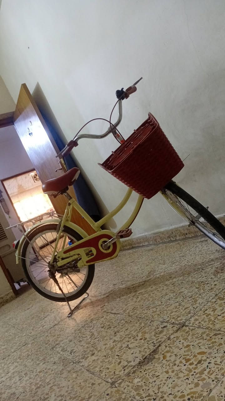 بايسكل حجم ٢٠ باله اوربي ماركه معروفه قوي لون مميز سعر ٧٥ قبل اشهر اخذته ب١٠٠ من الصدريه مكانه الدوره ***********
