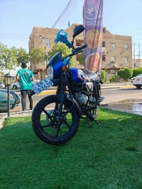 بوكسر جبلي • ٢٢ • مرقمه انگليزي