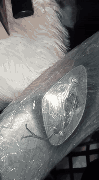 سلام عليكم غراض مال تفصيخ زوج تايرات فلنجات روس بلكات ماطور قباقة مال ستيرن قببق ولفات قاويش     ملاحض. غراض مال بآلة العنوان بغداد دورة ابو دشير ***********
