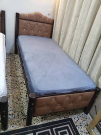 جرابي • جديد • الشعب الثعالبة