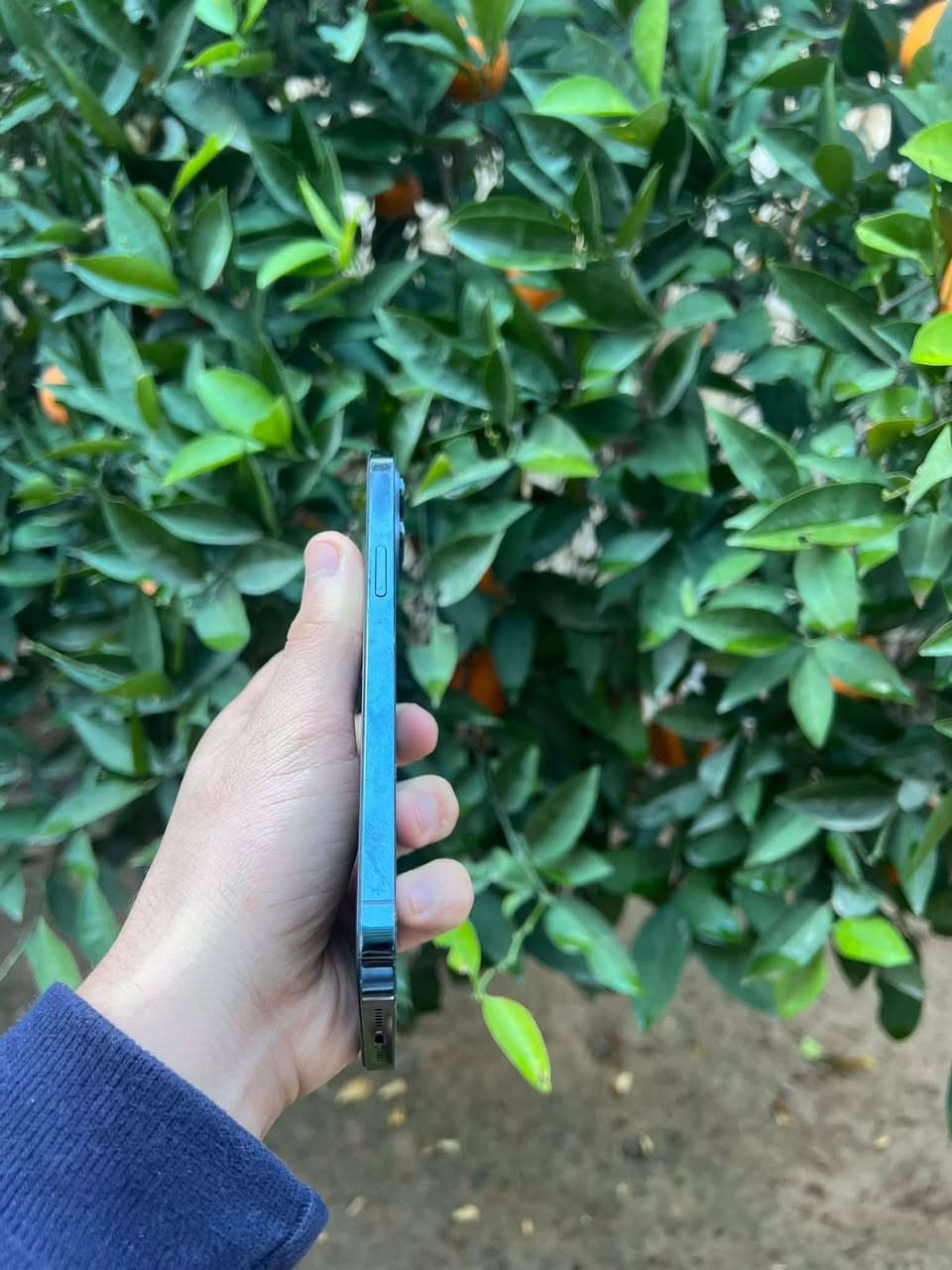 مو شراي لا تراسل ❤
مكاني موصل لا يوجد توصيل
12برو ماكس 
ذاكره 256
بطاريه 73بلادي قطاره 
مبدل شاشه نوعيه مضبوطه 
سعره (260) قفل 🔒أبل 230لا تعلق


**إذا كنت صاحب هذا الإعلان وتريد حذفه لأي سبب، رجاءا أرسل رسالة إلى الدعم الفني**