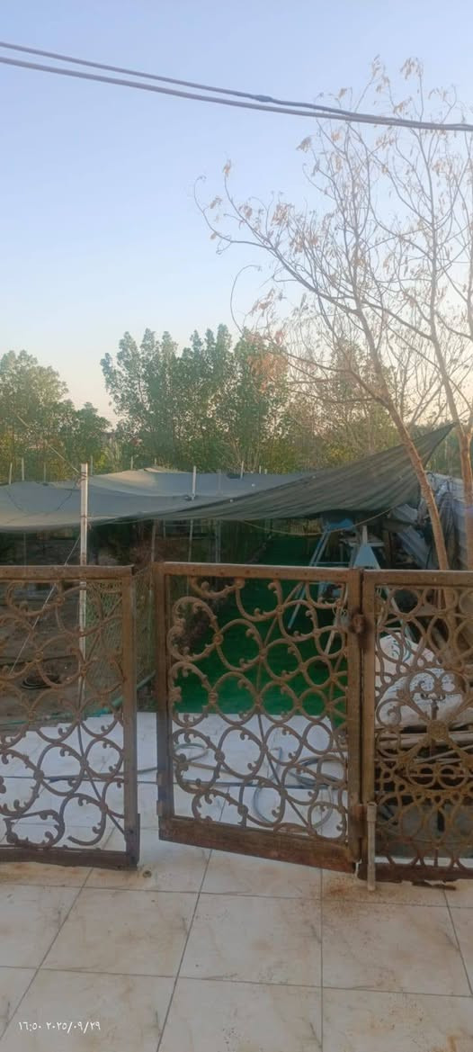 أسعد الله اوقاتكم بكل خير احبتي الكرام 🪄🍃

قطعه ارض(750M²) 
مع 
دار للبيع مع مساحه
... بناء حديث درجه اولى 
📜طابو ملك صرف زراعي عراقي 
يتحول سهم بأسم المشتري
او
تريد (نسخه + وكاله) 
تتكاتب مع راعي الارض مباشر
🔍....الموقع
البصره ابي الخصيب القنطره قرب سوق ابي الخصيب
🏠.....محتويات الدار
ثلاثه غرف 
صاله
ديوانيه 
صحيات (داخلي خارجي)
مناور 
حديقه كبيره 
كراج يسع سيارتين
مطبخ
💰.....السعر 160 مليون قابل للتفاوض 
...كافه الخدمات متوفره
البيت على الشارع مباشر
البناء حديث درجه اولى
مقطورات ماء مع البيت
(🚣‍♂️ بلم صيد مكينه ياماها ياباني)
مع البيت
ماء كهرباء تبليط اناره 
باقي التفاصيل 
***********
