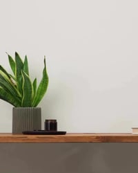 برواز رقم واحد • تصميم حسب الطلب • عيد الميلاد الأول