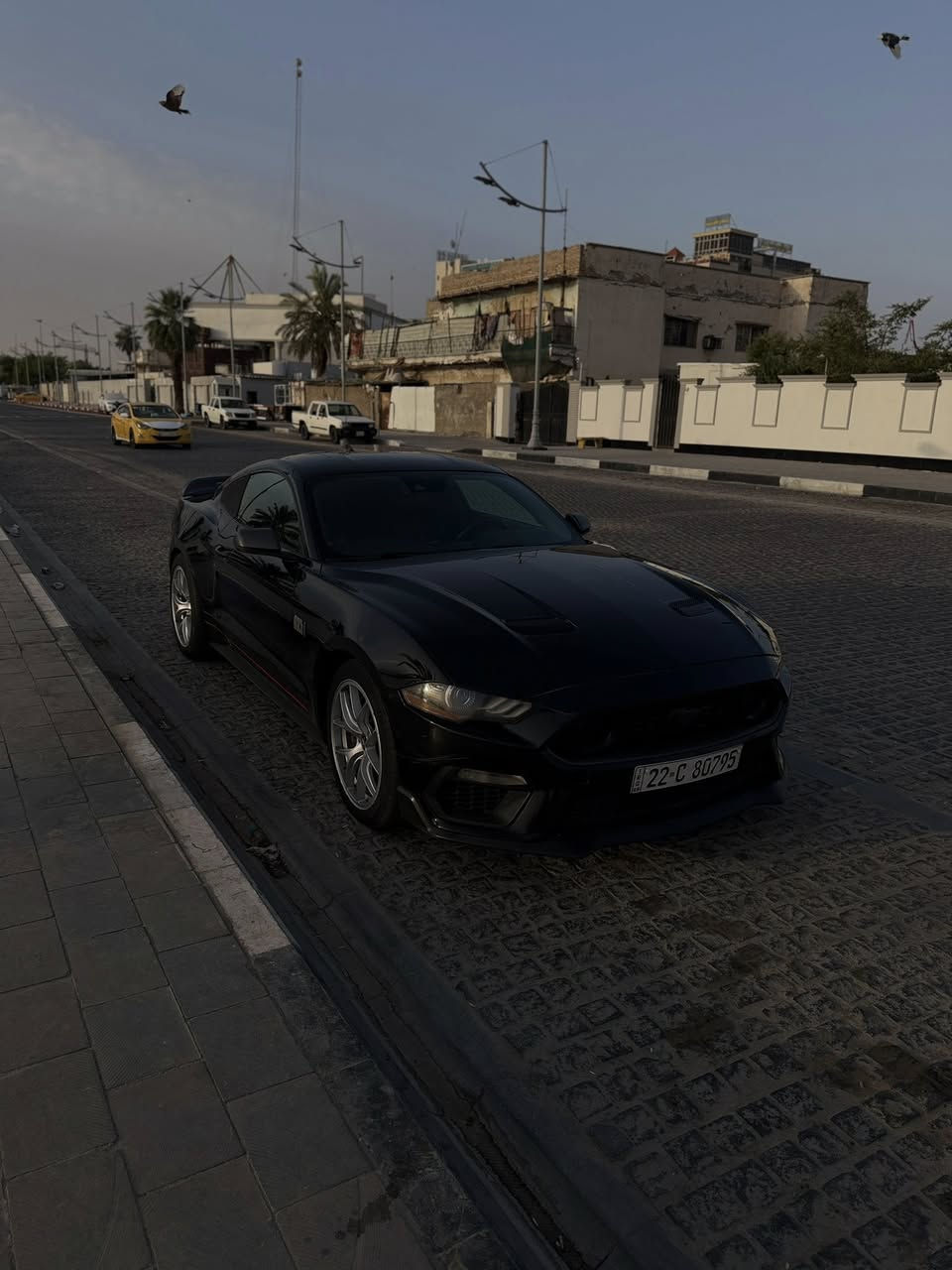السلام عليكم 
موستنك (mac1) مديل 2021 وارد أمريكي رقم أربيل 
‏8V
تحويل او وكاله 
سياره حلوه وبعدهه جديده 
لون اسود وفئه مميزه جدا 
مكانهه :البصره الجمعيات 
السعر :240
شراي تجي شوف السياره وتشلع عيوني 
‏***********
