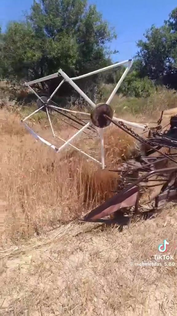 حاصوده على كد فلوسك 😂


**إذا كنت صاحب هذا الإعلان وتريد حذفه لأي سبب، رجاءا أرسل رسالة إلى الدعم الفني**