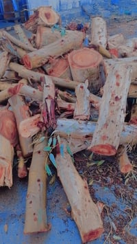 حطب للبيع بيهن كيه تقريبا وعندي #كواني_حطب للبيع  07708219971 07838603...