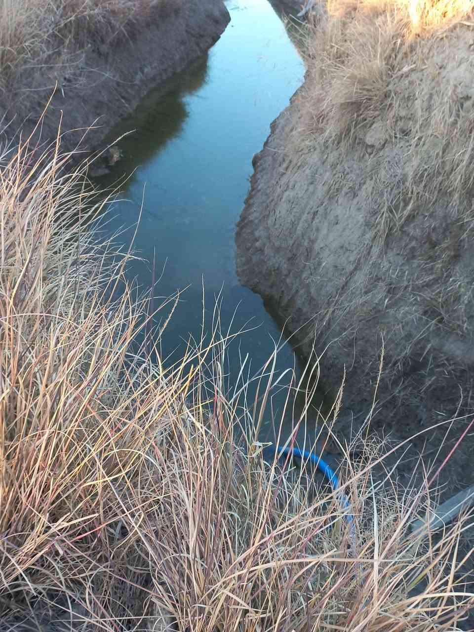 السلام عليكم ارض زراعية خمسة دونم مع بيت وحقل عجول سند٢٥ باسم شخص واحدمزروعة حنطة سعرمناسب خيكان الشوملي ***********او***********
